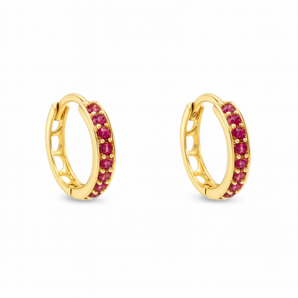 Argola Redonda com Pedras