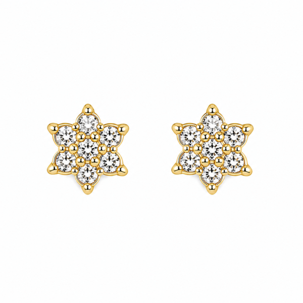 Brinco Chuveiro Flor com Moissanite em Ouro 10k